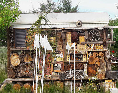 box_macherner_gruenprofis_kontakt