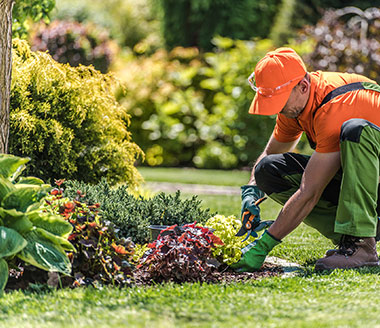box_macherner_gruenprofis_leistungen