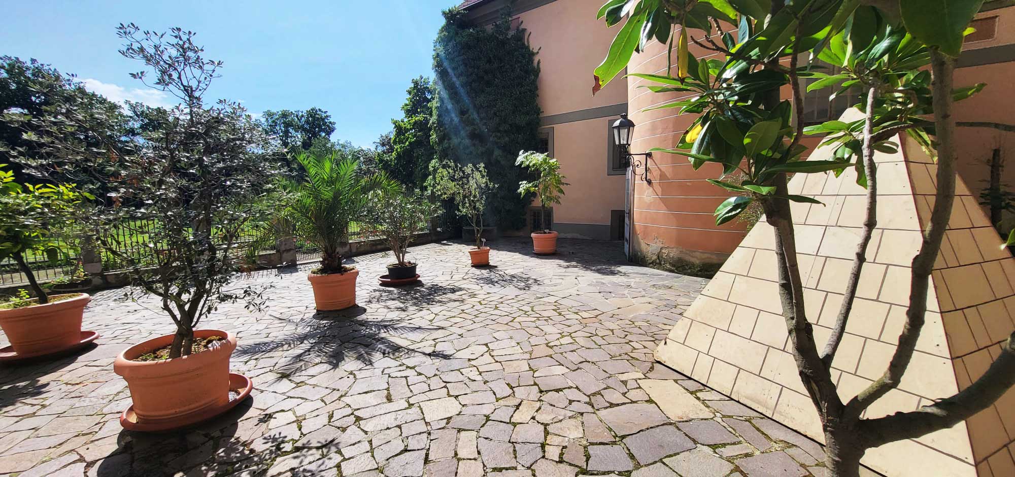 header_machener_gruenprofis_baumpflege