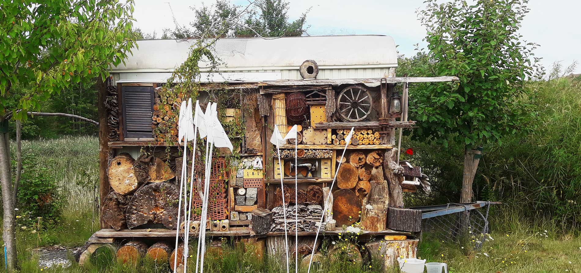 header_macherner_gruenprofis_kontakt